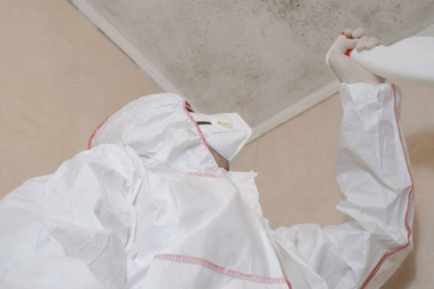 Best Mold Cleaning Services  in Palmer, AK