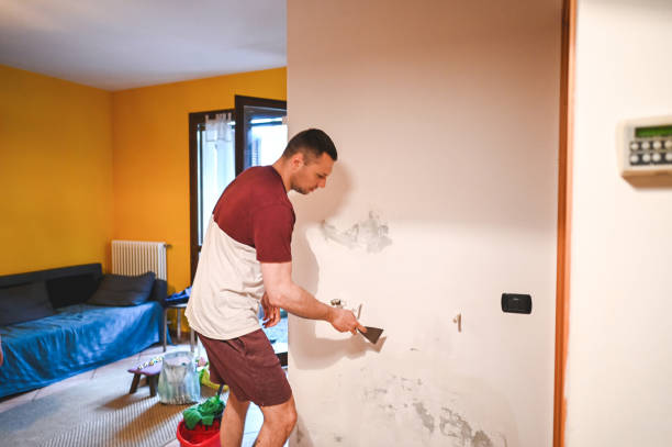 Best Residential Mold Removal  in Palmer, AK